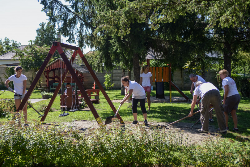 Summer buzz in Gesztenyeskert