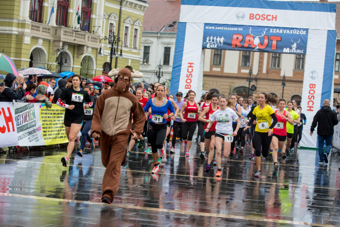 Chasing the deer for 26 years – the Bosch running event
