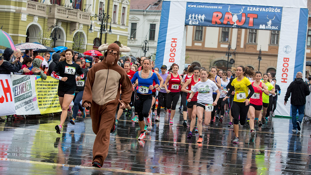 Chasing the deer for 26 years – the Bosch running event